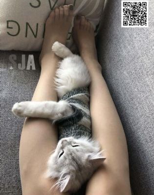 可以免费看污的软件_BD英语神马影院在线