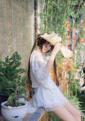 功夫姐妹免费观看全集完整版_国产剧视频大全
